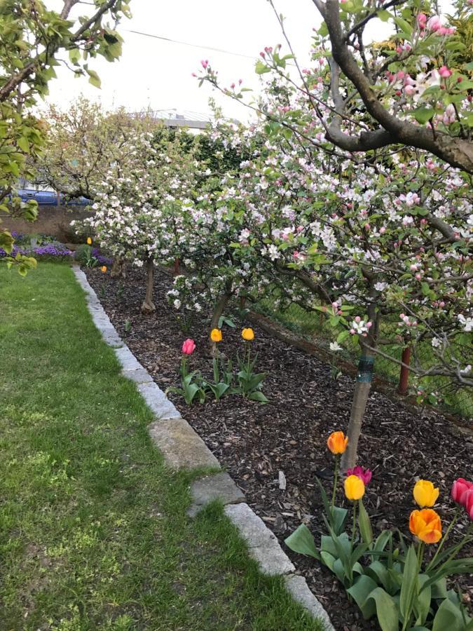Garden Daire